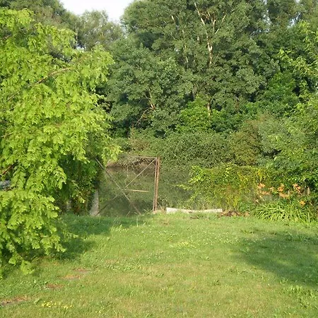 Dori Szallashely Шарошпатак