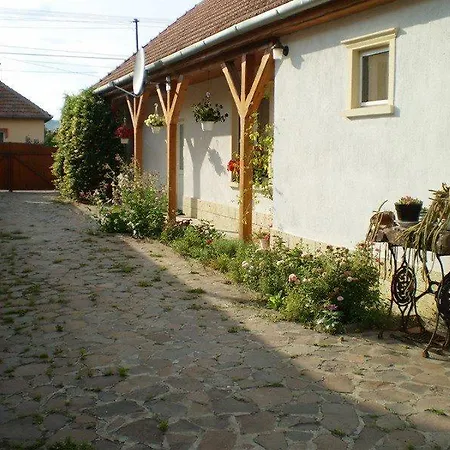 Dori Szallashely Шарошпатак