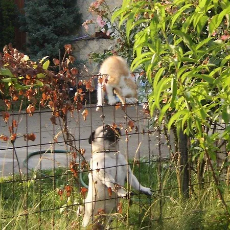 Апартаменты Dori Szallashely Шарошпатак