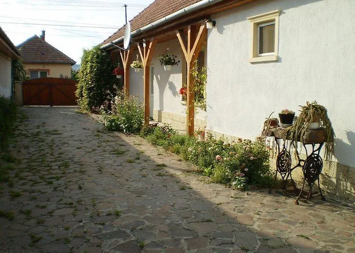 Dori Szallashely Sárospatak