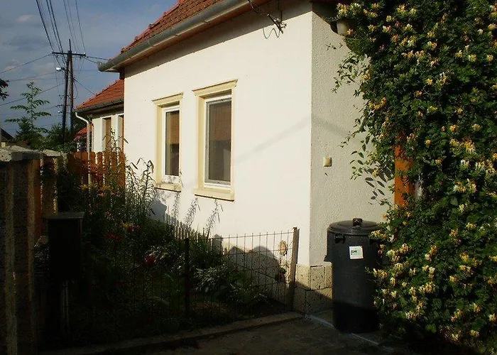 Dori Szallashely Sárospatak